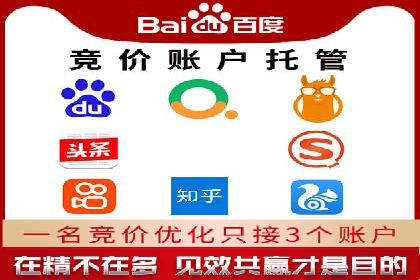 互联网公司SEM代运营成功案例剖析